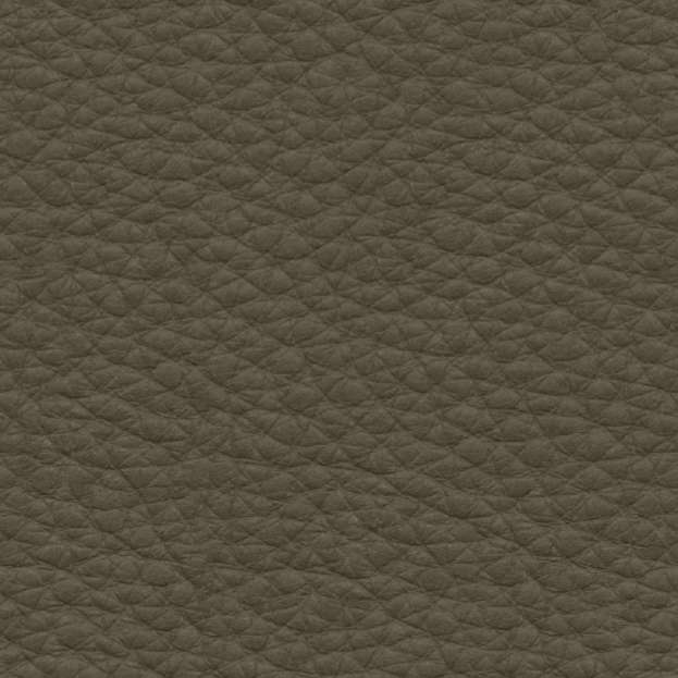5668_20 Leder Taron (Preisgruppe 566)